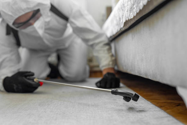 Professional Ant Control technician working in Marion County County, IA